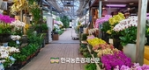 '반려식물' 시장규모 2조 원...