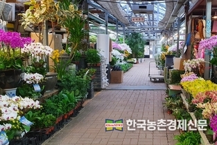 '반려식물' 시장규모 2조 원..."3명 중 1명 반려식물 키워"