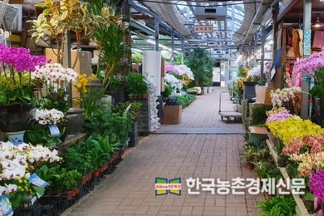 '반려식물' 시장규모 2조 원..."3명 중 1명 반려식물 키워"