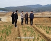 농촌진흥청 ‘무멀칭 마늘 재배 기술’ 집중연구 지원