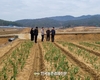 농촌진흥청 ‘무멀칭 마늘 재배 기술’ 집중연구 지원