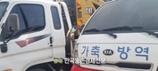 <속보>영암 ‘한우농장’ 구제역 발생!...긴급차단방역