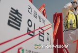 <속보>경기 양주 양돈농장 '아프리카돼지열병' 발생