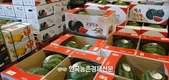 '수박 팰릿 출하' 4월부터 전면 시행