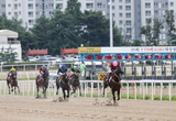 첫 2세 경주마 최고가 나왔다!...1억 3,100만원에 낙찰!