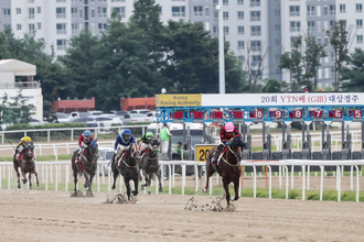 첫 2세 경주마 최고가 나왔다!...1억 3,100만원에 낙찰!
