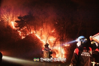 전국에 걸쳐 '산불재난'...국가위기경보 ‘심각’