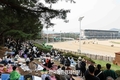 마사회 렛츠런파크 '벚꽃축제' 축소