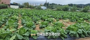 경농, 신제품 ‘초성 퀴즈행사’... 4월 30일까지