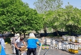 양봉협회, 산불 피해복구 성금모금 운동