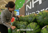농협유통 "봄 수박! 환절기에 딱 좋아요!"