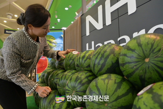 농협유통 "봄 수박! 환절기에 딱 좋아요!"