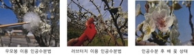 과수농협연합회, 중남부지역 농가들 저온피해 호소