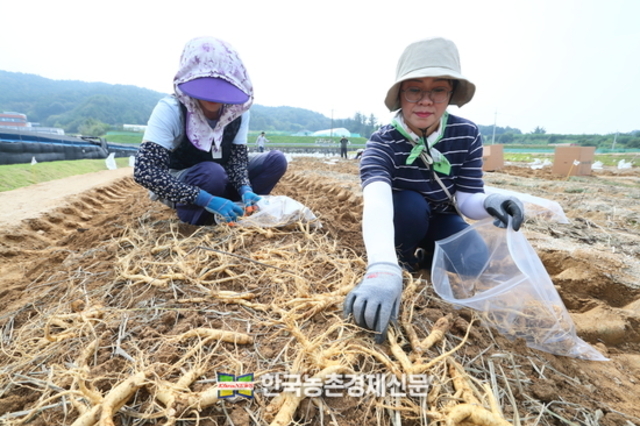 농업인들 질병 발생 상승 추세