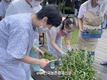 '치유농업' 실용화 추진... 