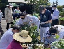 '치유농업' 실용화 추진... "정신의료기관 실증으로 효과 입증"