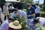 '치유농업' 실용화 추진... "정신의료기관 실증으로 효과 입증"