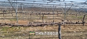 포도의무자조금,‘2025년 제1차 주산지 협의회’개최