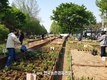 서울시, 강서농산물도매시장 ‘체험 텃밭’ 분양 눈길