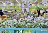 농협하나로마트, 청양고추 최대 45 할인