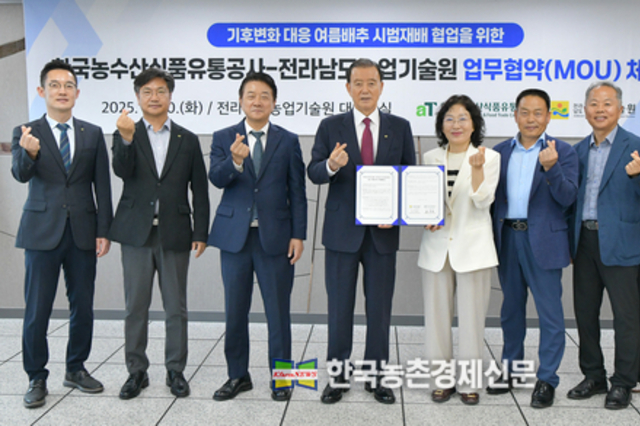 aT, '초여름배추' 수급안정 위한 맞손