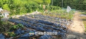 농기협, 귀농·귀촌 준비교육 6월 18일 개강
