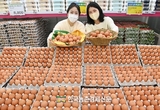 ‘전국산란인대회’ 6월 18일 개최