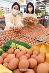 산란계협회 성명서 발표... 