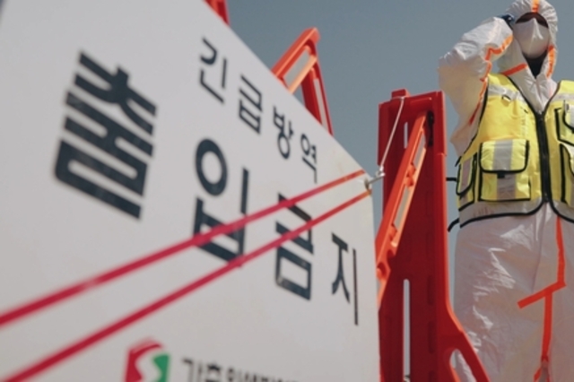 <속보>서산 '오리농장'에서 AI 발생... 긴급 차단방역!