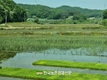 농축산연합회, 