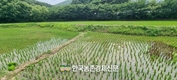 농축산연합회, 