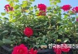 ‘농촌관광' 실태조사 시작... 8월 8일까지