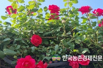 ‘농촌관광' 실태조사 시작... 8월 8일까지