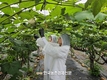 ‘쌀 소비촉진 대학생 서포터즈’ 발대식 개최