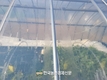 온실용 ‘국산 폴리올레핀 필름’ 경제성 효과 커