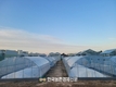 온실용 ‘국산 폴리올레핀 필름’ 경제성 효과 커