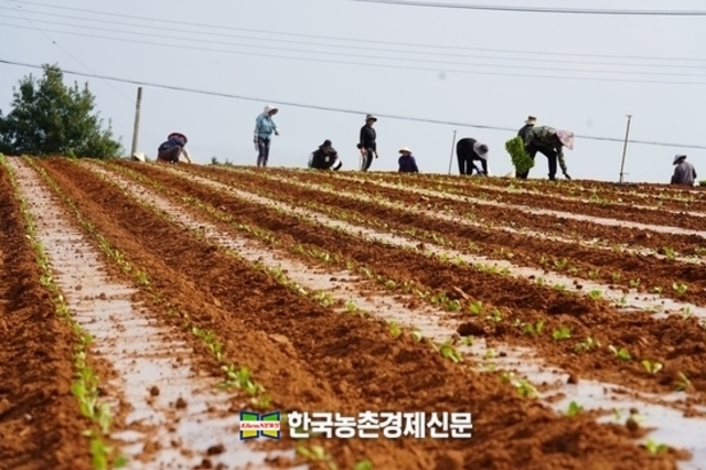 '외국인 계절근로자' 전국 배정!... 전년대비 41 증원