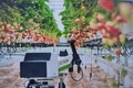 '콩 농사' 넉넉하게!... 수매 '곳간' 키우기로