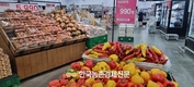 '파프리카 요리왕 선발대회' 눈길 끌어