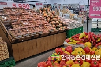 파프리카 "비타민C 덩어리!"... 건강식 먹거리로 인기