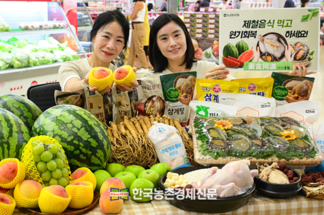 초복 특수시작... 건강한 여름나기 삼계탕 추천!