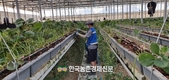 농업용 '에어냉각조끼' 체온 15℃ 낮춰... ‘온열질환’ 예방