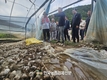 농협, 계열사·임직원 ‘50억 통 큰 기부’