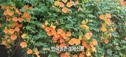 동성제약, 임시주총 기준일 공고… 주주 권리행사 본격화