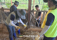 농협사료, ‘극한호우 피해’ 복구에 발 벗고 나서