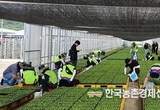 농신보, 집중호우 피해지역 농가에 일손돕기