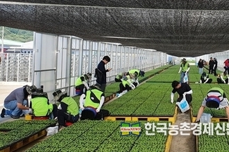 농신보, 집중호우 피해지역 농가에 일손돕기