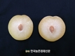 농진청, ‘만생종 자두’ 폭염으로 생리장해 우려…관리 철저