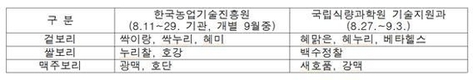 '호강' 쌀보리 신품종 9월 3일까지 분양