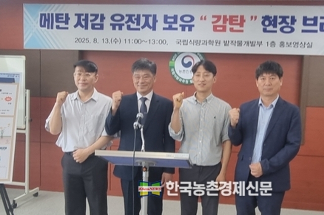 저탄소 농업에 박차!... '감탄' 벼 품종개발 화제